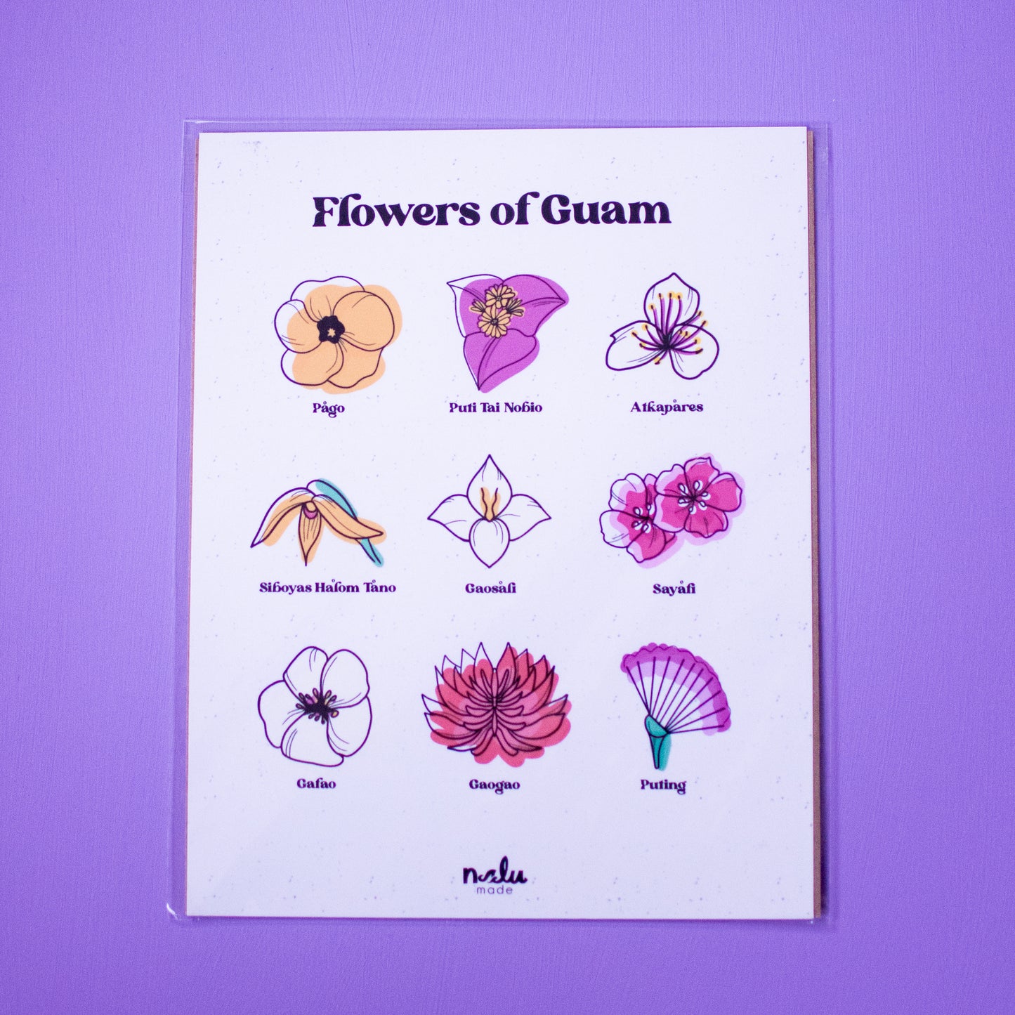 Flowers of Guam Art Print. 8 x10 inches.